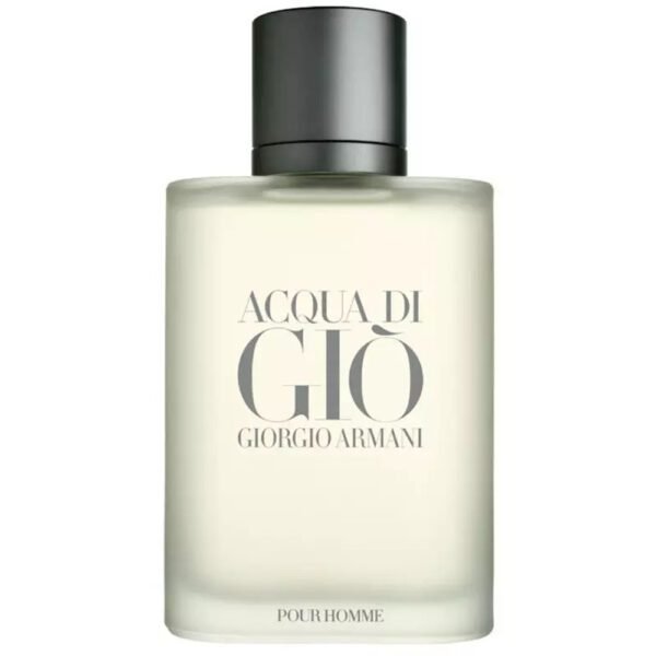 ACQUA DI GIO POUR HOMME  100ML - Perfume Masculino