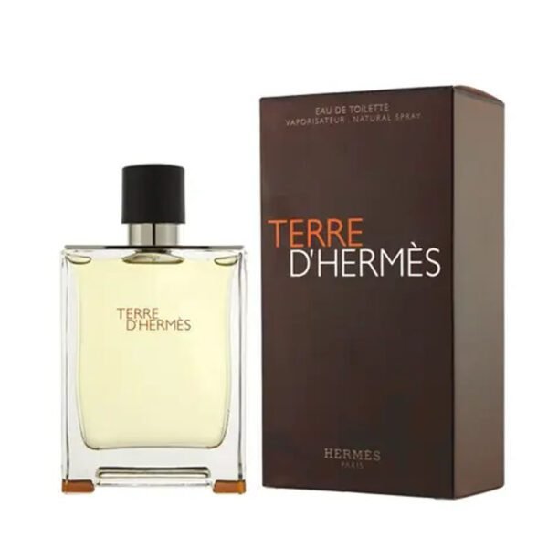 TERRE D'HERMÈS EDT 100ML- Perfume Masculino